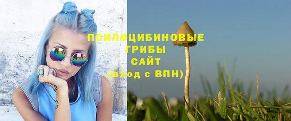 трава Чегем