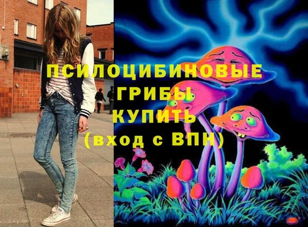 амф Чекалин